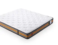 多米体育官方网站-佛罗伦萨聚集多少杰出人才