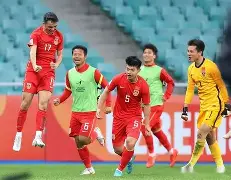 多米体育登录注册-亚冠吉达联合vs阿马雷克